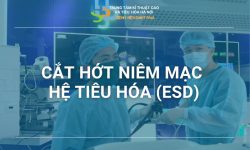 CẮT HỚT NIÊM MẠC HỆ TIÊU HÓA (ESD)