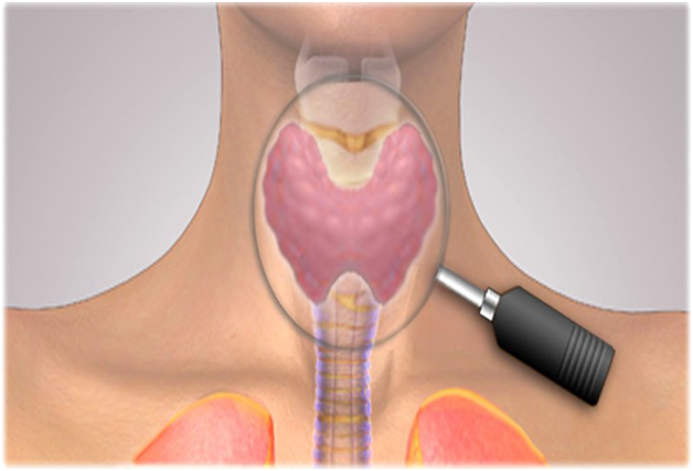 Vị trí tuyến giáp trên cơ thể con người