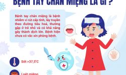 BỆNH TAY CHÂN MIỆNG LÀ GÌ?