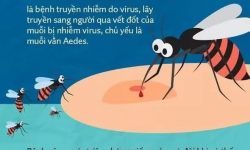 SỐT XUẤT HUYẾT: NHẬN BIẾT SỚM DẤU HIỆU VÀ CHỦ ĐỘNG PHÒNG BỆNH